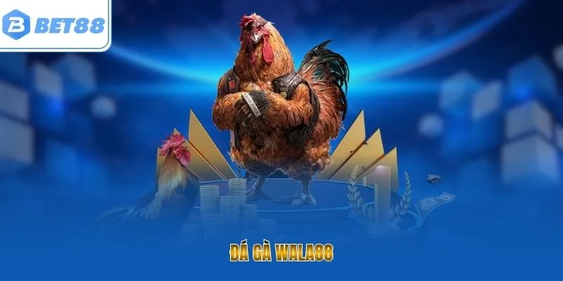 Đá Gà Wala88 Sảnh Đá Gà Kịch Tính Được Săn Đón Hiện Nay